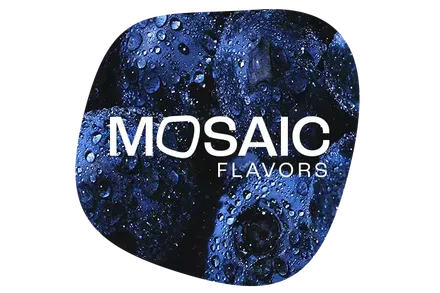 Mosaic callout default 700x467 64f9feb524552