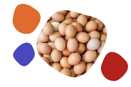 Blog Eggs 600 x 400 px