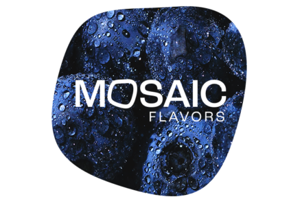Mosaic callout default 700x467