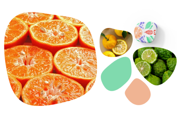 Citrus 1